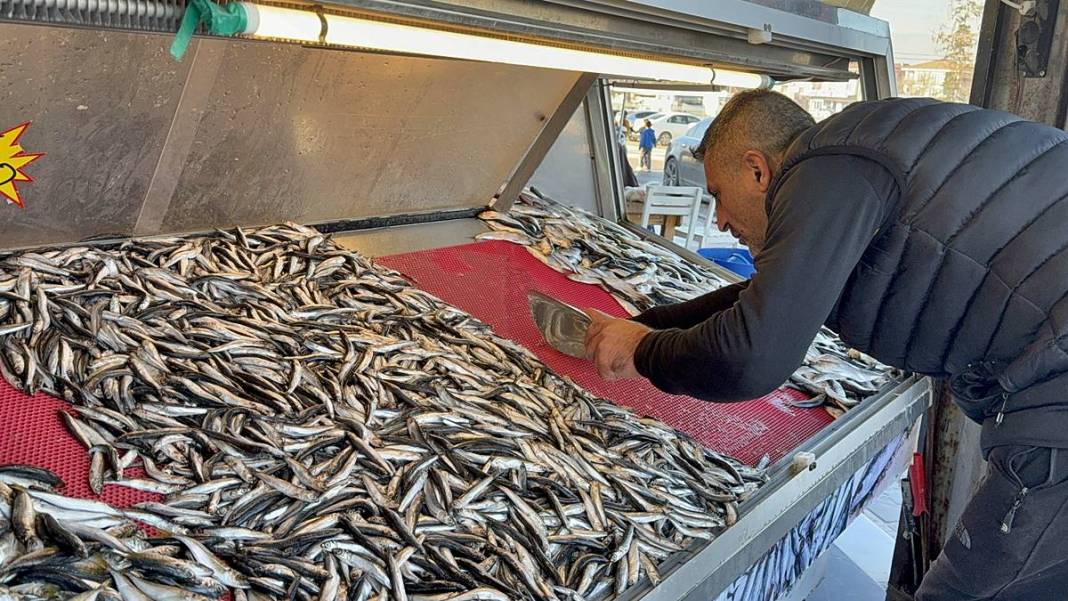 O kentte hamsinin kilosu 50 TL'ye kadar düştü! Fiyatı gören kasa kasa alıyor 5